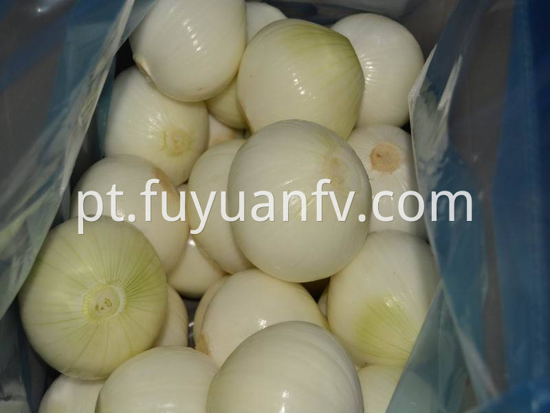 peeled onion 